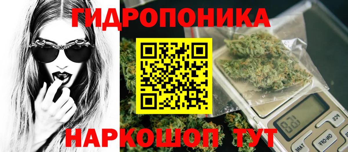 Марихуана планчик Знаменск